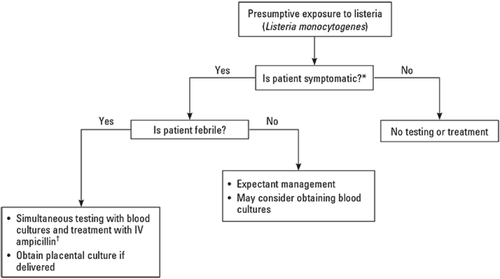 shop complex variables 2004