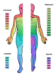 http://bestpractice.bmj.com/best-practice/monograph/772/overview/aetiology.html