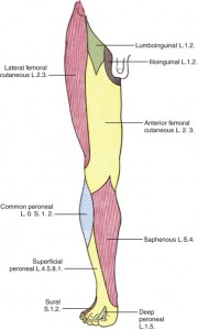 Yi Zhang, in Pain Procedures in Clinical Practice (Third Edition), 2011. http://www.sciencedirect.com/science/article/pii/B9781416037798100272