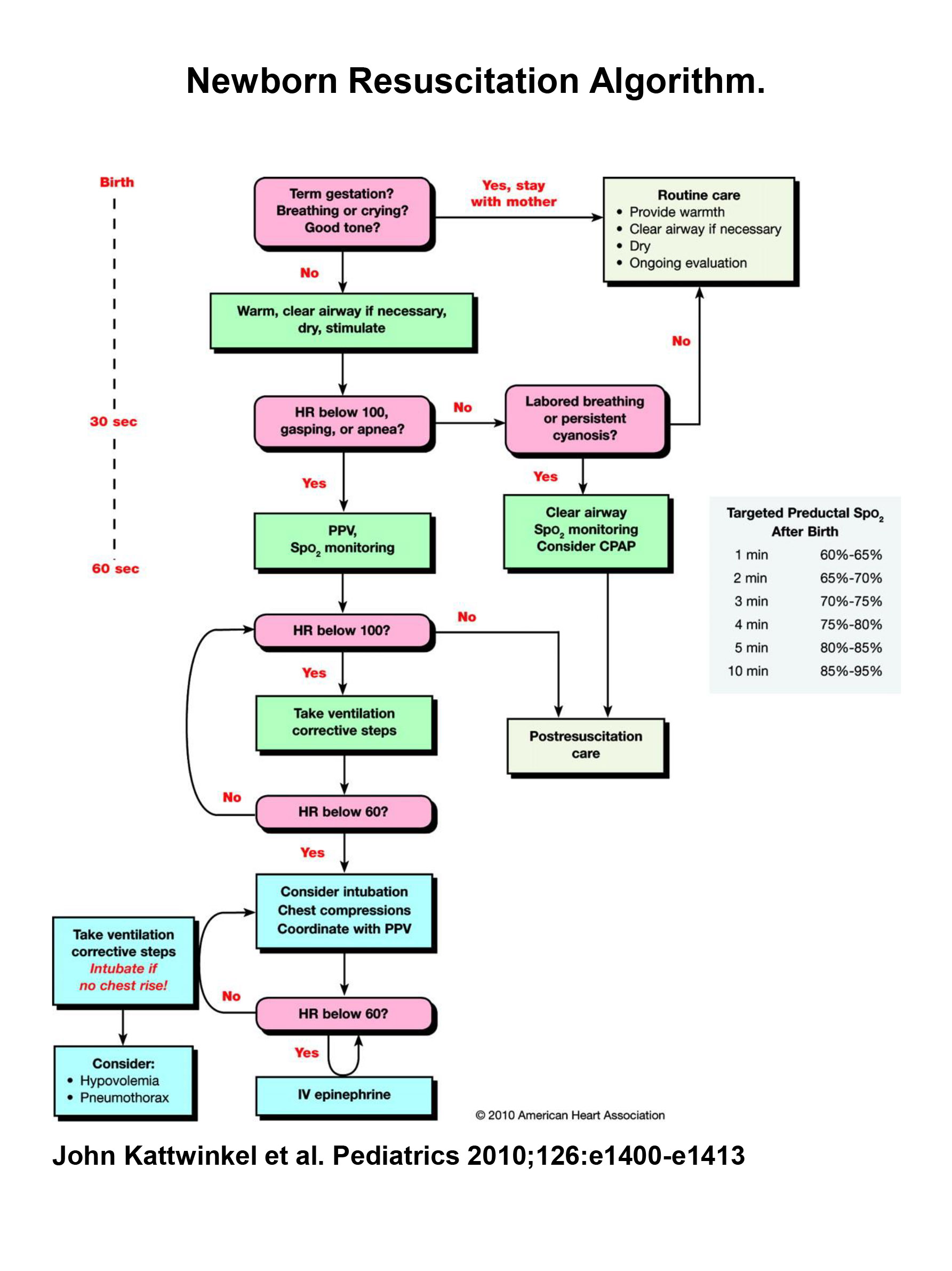 book Flash Programming for the Social & Behavioral Sciences: A Simple Guide to Sophisticated Online