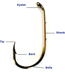 How To Remove A Fish Hook